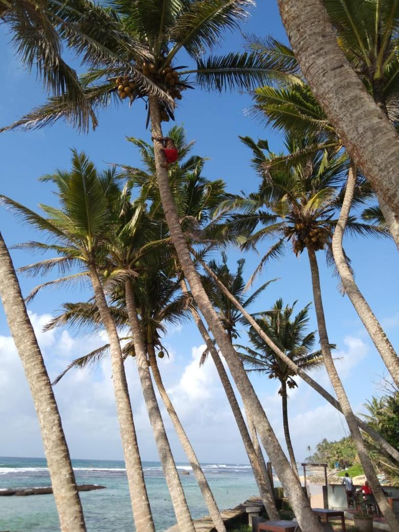 Beach Inns Holiday Resort Matara Extérieur photo